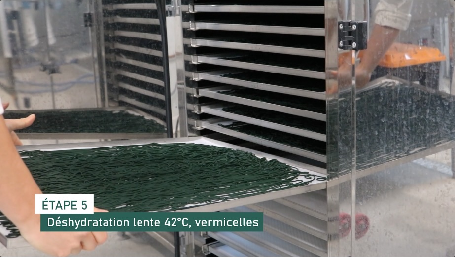 Étape 5 : Déshydratation lente à 42°C